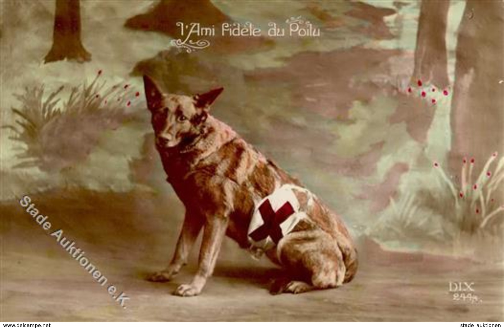 SCHÄFERHUND - Als Rot-Kreuz-Hund I Chien - Cani