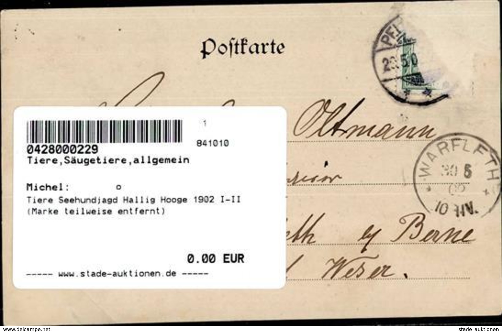 Tiere Seehundjagd Hallig Hooge 1902 I-II (Marke Teilweise Entfernt) - Altri & Non Classificati
