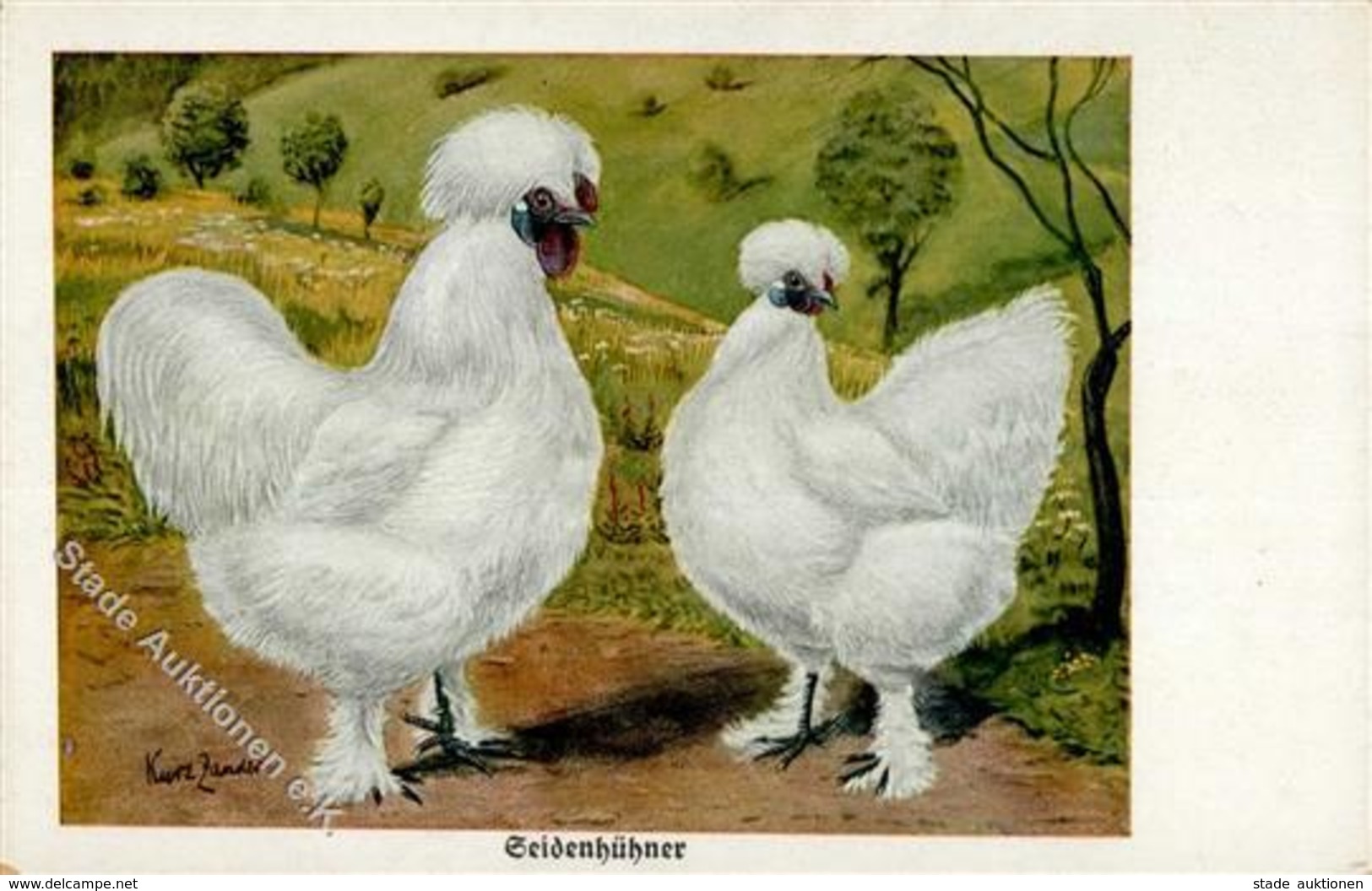 Geflügel Hühner Seidenhühner Sign. Zander, Kurt Künstlerkarte I-II - Altri & Non Classificati