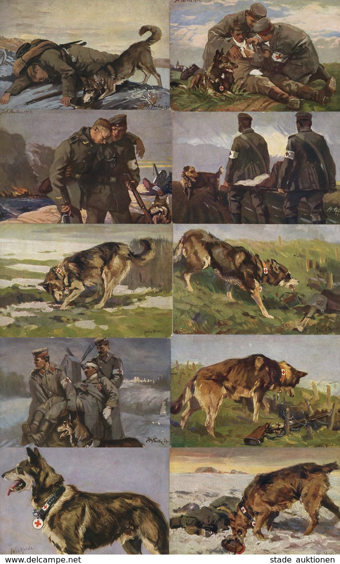 MILITÄR WK I - Kpl. 10er-Serie Der SANITÄTSHUND Im FELDE - SCHÄFERHUND Sign. Künstlerkarten I - Guerra 1914-18