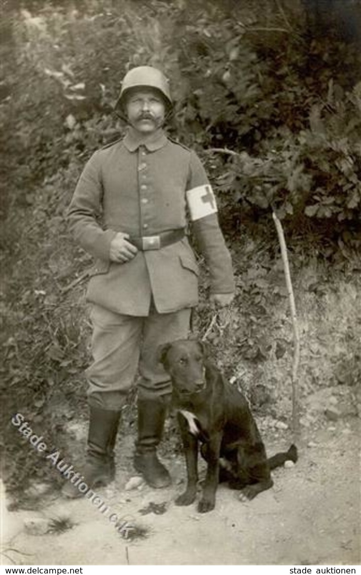 WK I Soldat Rotes Kreuz Hund  Foto AK I-II Chien - Guerra 1914-18