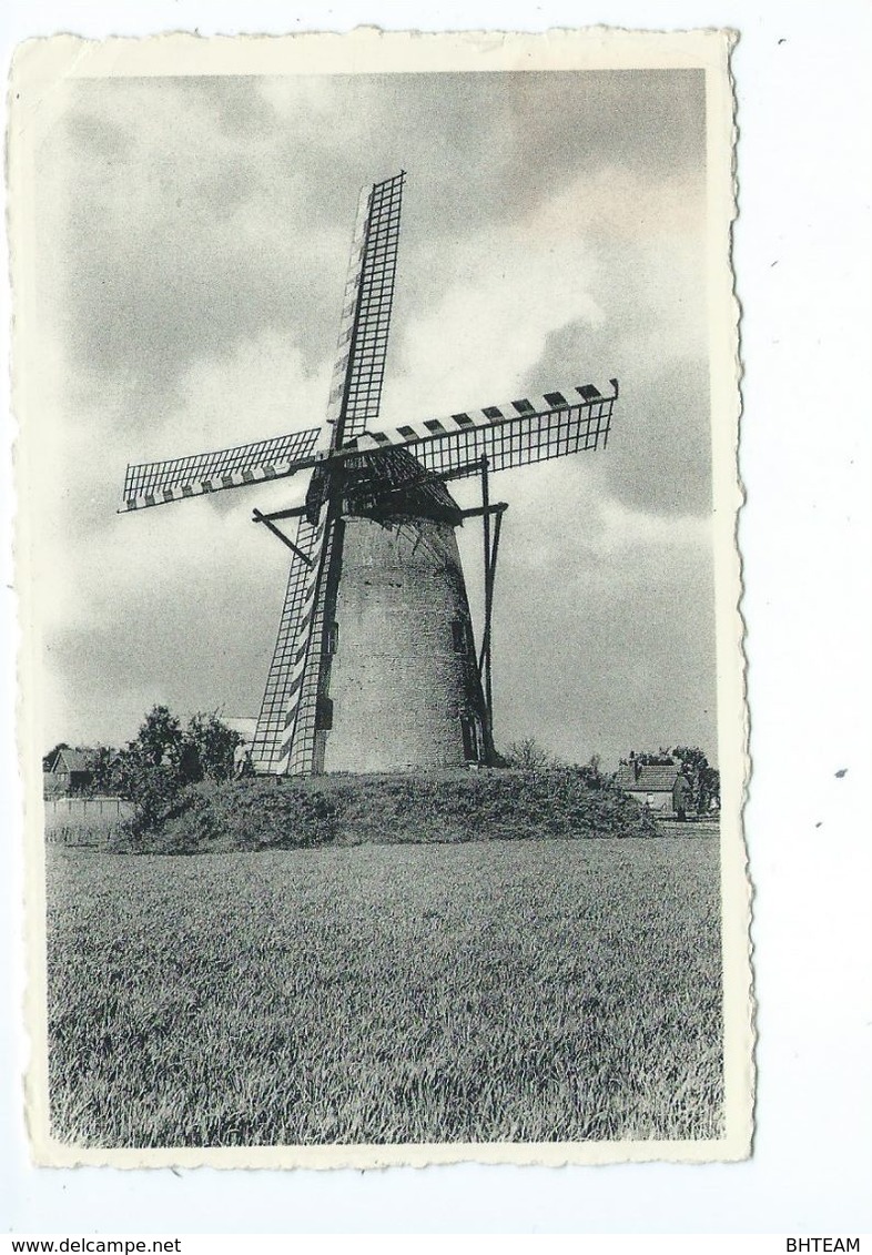 Overpelt Windmolen - Overpelt