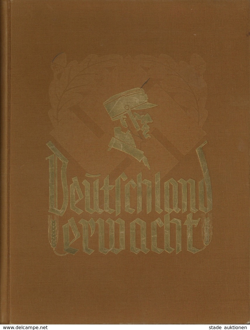 Sammelbild-Album Deutschland Erwacht Röhm Ausgabe 1933 Zigaretten Bilderdienst Altona Bahrenfeld Kompl. I-II - Guerra 1939-45