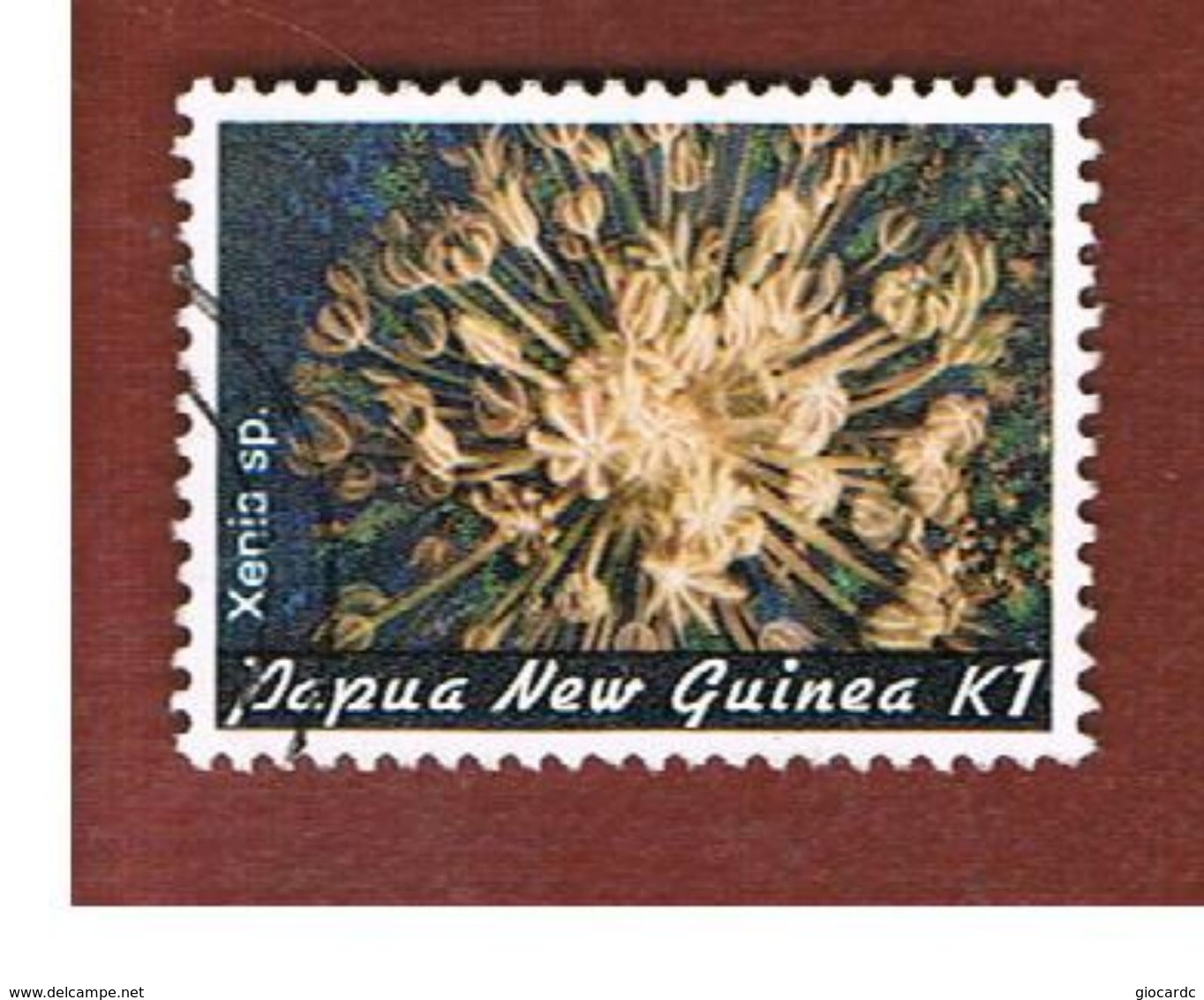 PAPUA NUOVA GUINEA  (PAPUA NEW GUINEA ) - SG 450 - 1982 MARINE LIFE: CORALS (XENIA SP.)  - USED° - Papua Nuova Guinea