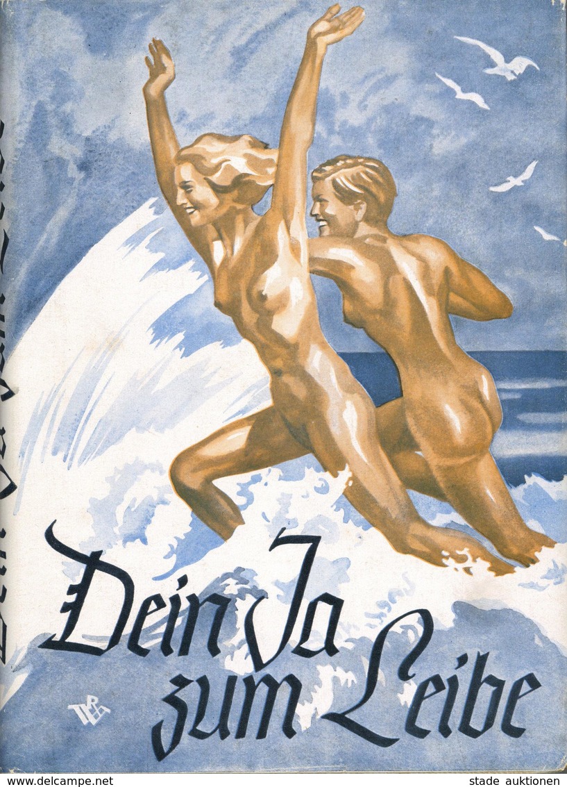 Buch WK II Dein Ja Zum Leibe Wilke, Hermann Ca. 1939 Verlag Emil Wernitz & Co.189 Seiten Sehr Viele Abbildungen Schutzum - Guerra 1939-45