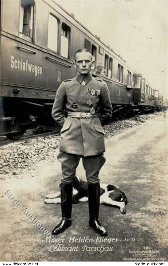Sanke, Pilot Nr. 380 Parschau Leutnant Foto AK 1917 I-II - Guerra 1914-18
