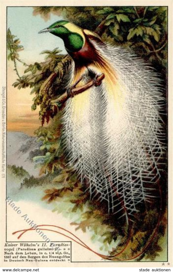 Kolonien Deutsch Neuguinea Kaiser Wilhelm II Paradiesvogel Künstlerkarte I-II Colonies - Storia