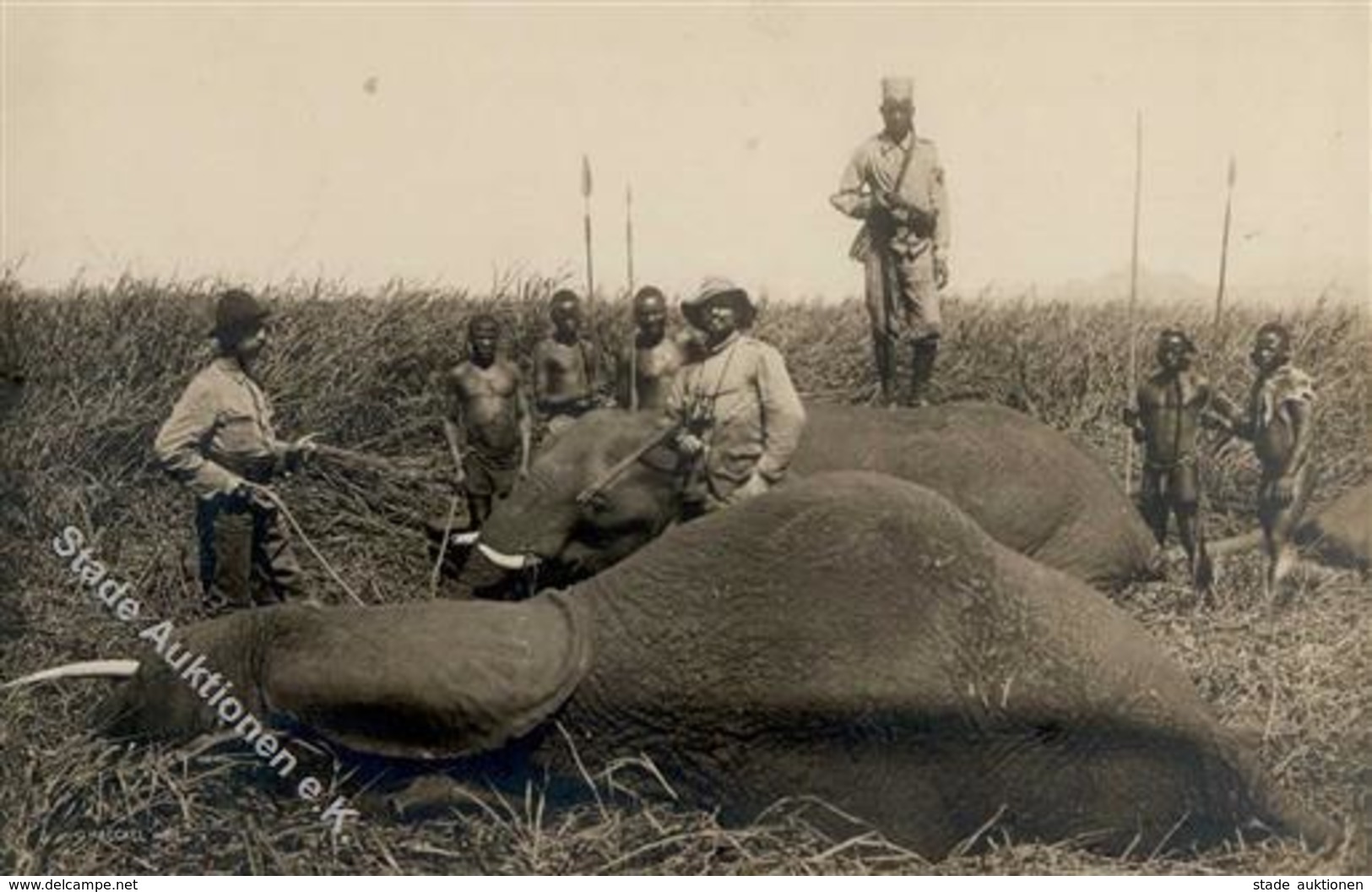 Kolonien DOA - GSK PP 4 E 2 ELEFANTEN-JAGD - O Muanza 1908 I Gepr. Siebentritt Colonies - Storia