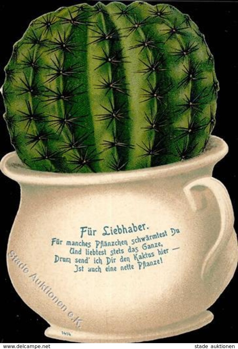Kaktus Nachttopf  I-II - Fiori