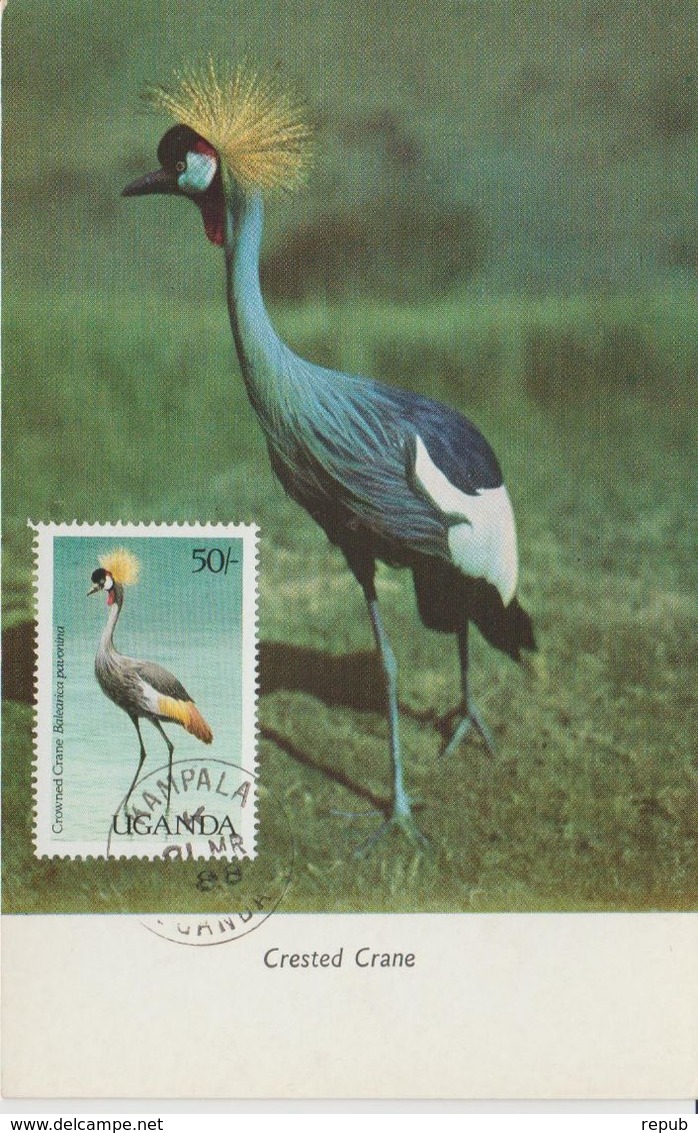 Ouganda Carte Maximum 1987 Oiseaux Grue 477 - Oeganda (1962-...)
