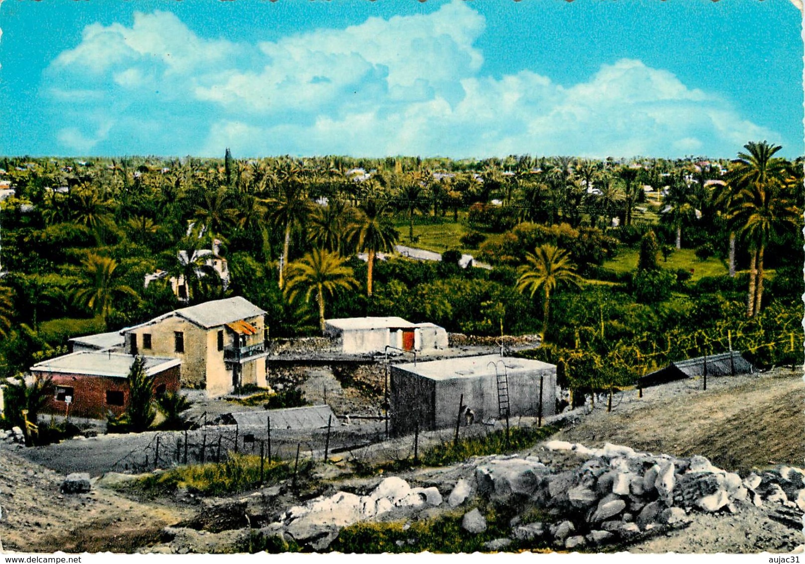 Palestine - Jericho - Général View - 2 Scans - Semi Moderne Grand Format - Bon état Général - Palestine