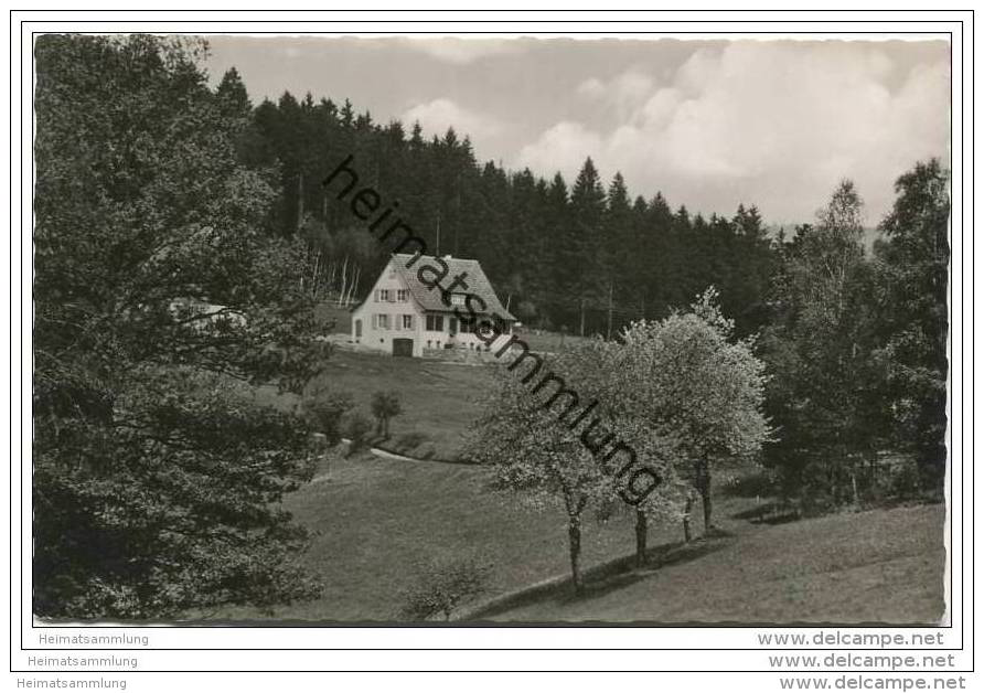 Alpirsbach - Nollenberg - Pension Waldheim - Besitzer Herm. Wössner - Foto-AK - Alpirsbach