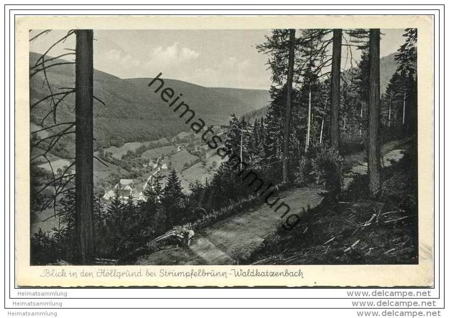 Blick In Den Höllgrund Bei Strümpfelbrunn - Waldkatzbach - Foto-AK - Waldbrunn