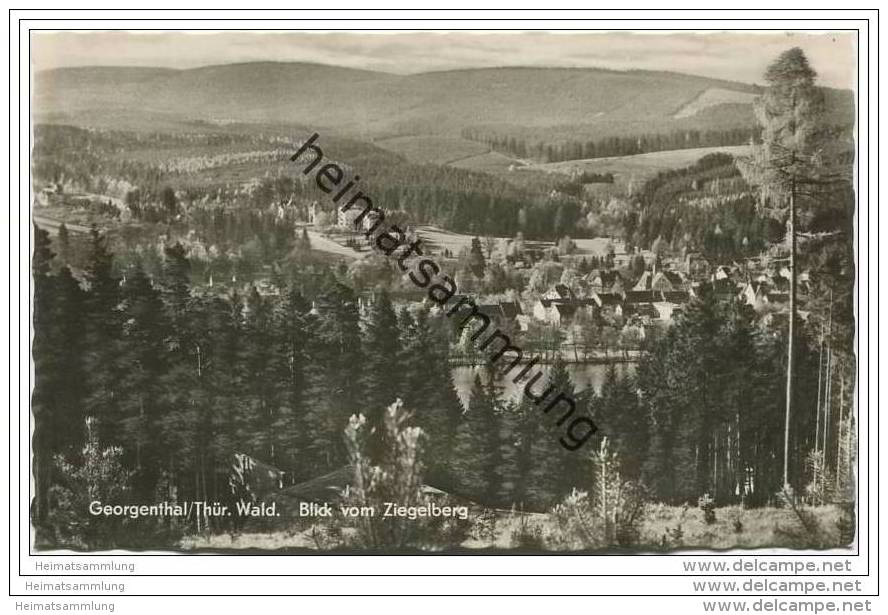 Georgenthal - Thür. Wald - Blick Vom Ziegelberg - Georgenthal