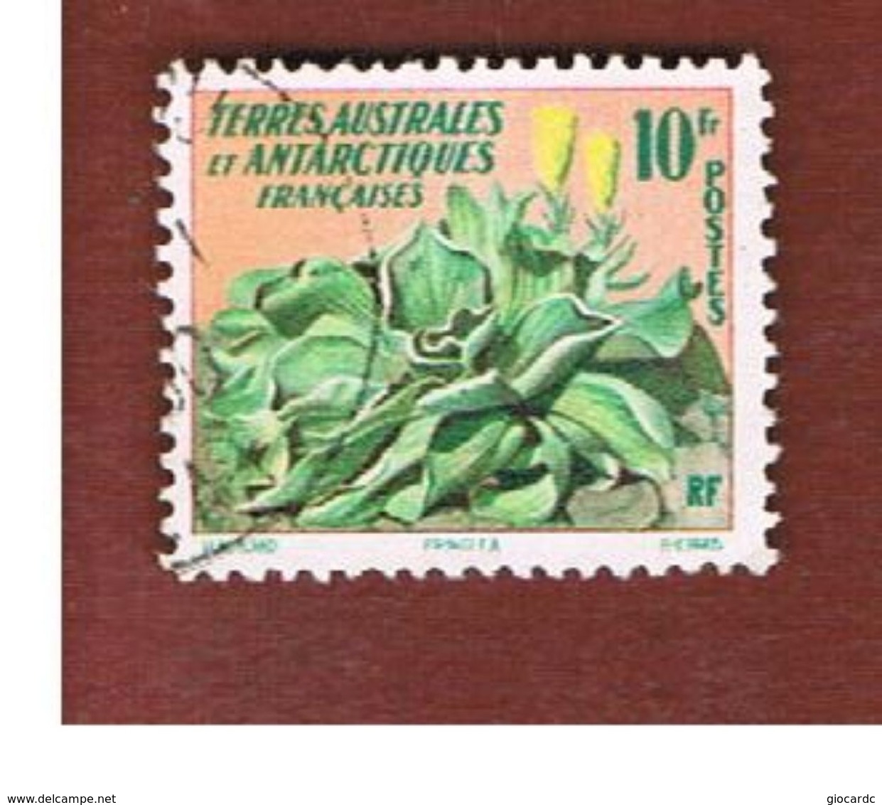 TERR.AUSTRALI ANTARTICI FRANCESI (TAAF) / FRENCH SOUTHERN ANTARCTIC TERRITORIES - SG 22 - 1959 FLORA: PRINGLEA - USED° - Usati