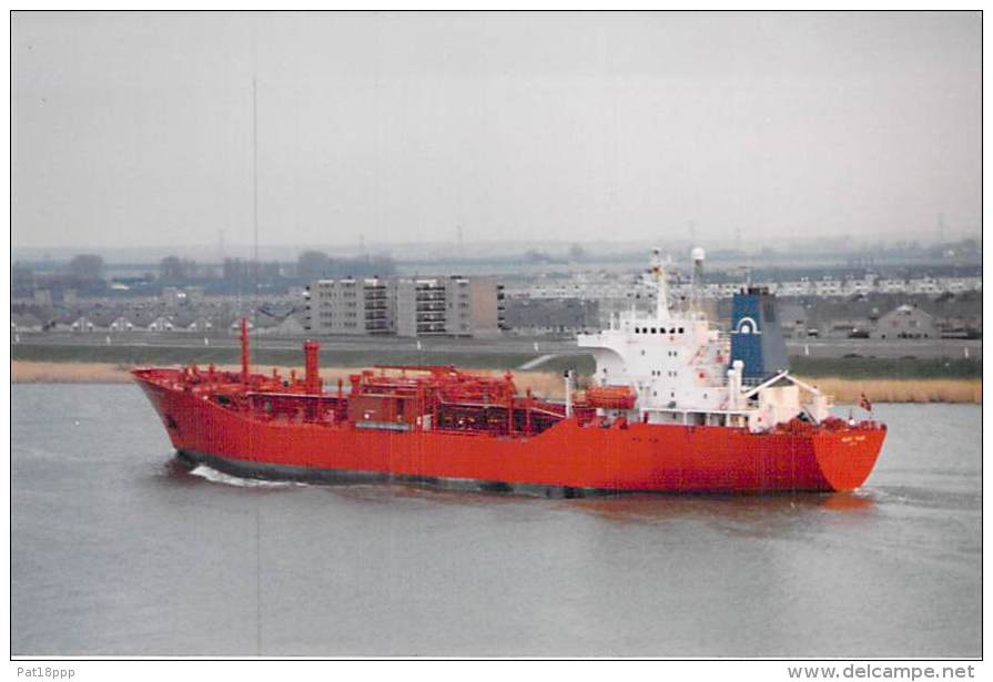 " IGLOO POLAR " ** Lot Of /de 2  ** BATEAU DE COMMERCE Cargo Merchant Ship Tanker Carrier ( Gazier ? ) Photo 1980-2001 - Koopvaardij