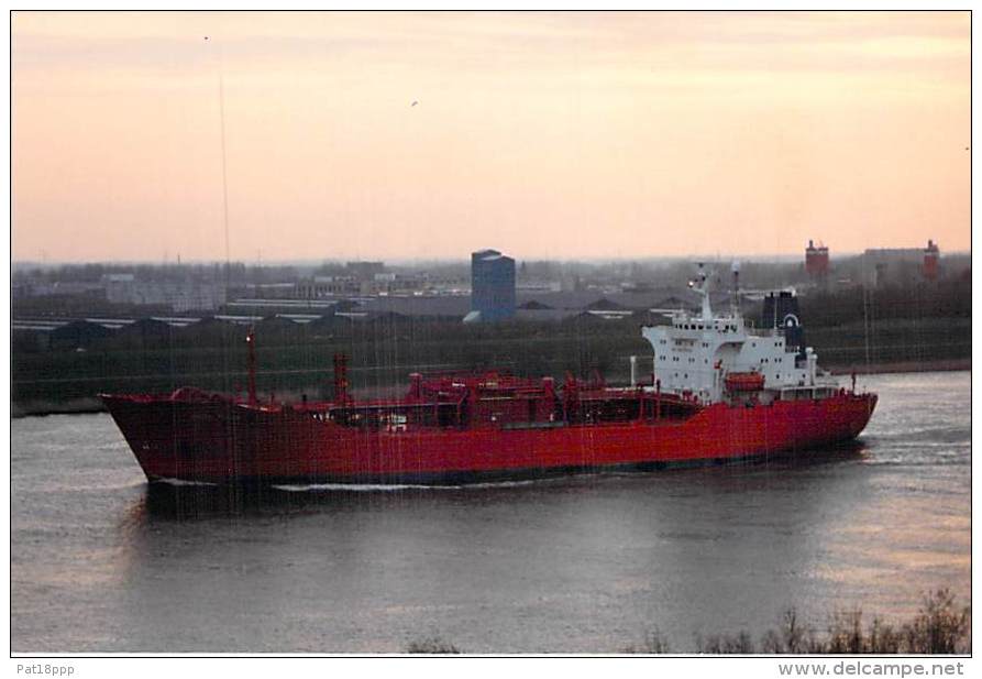 " IGLOO POLAR " ** Lot Of /de 2  ** BATEAU DE COMMERCE Cargo Merchant Ship Tanker Carrier ( Gazier ? ) Photo 1980-2001 - Handel