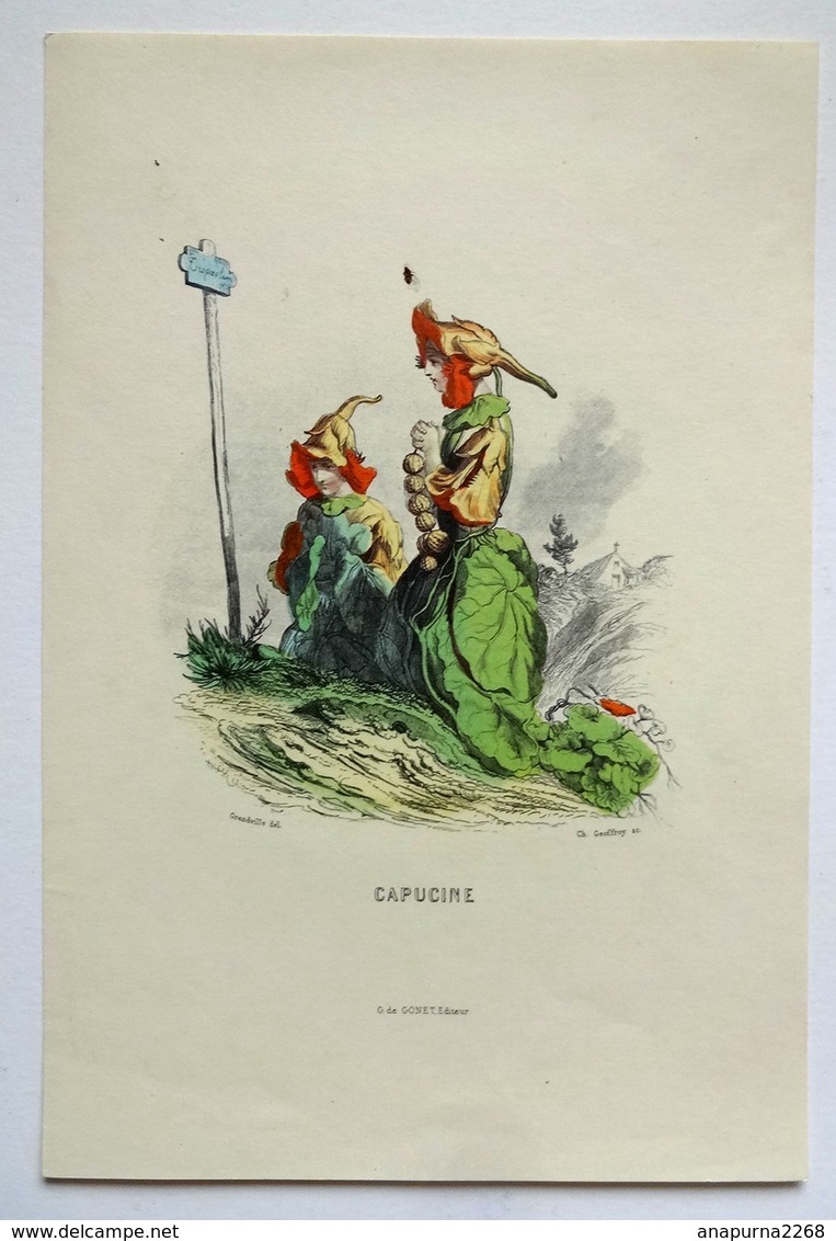 GRAVURE    LES FLEURS ANIMÉES DE GRANVILLE   EDITION GONET 26.5 / 18 Cm   CAPUCINE - Prints & Engravings