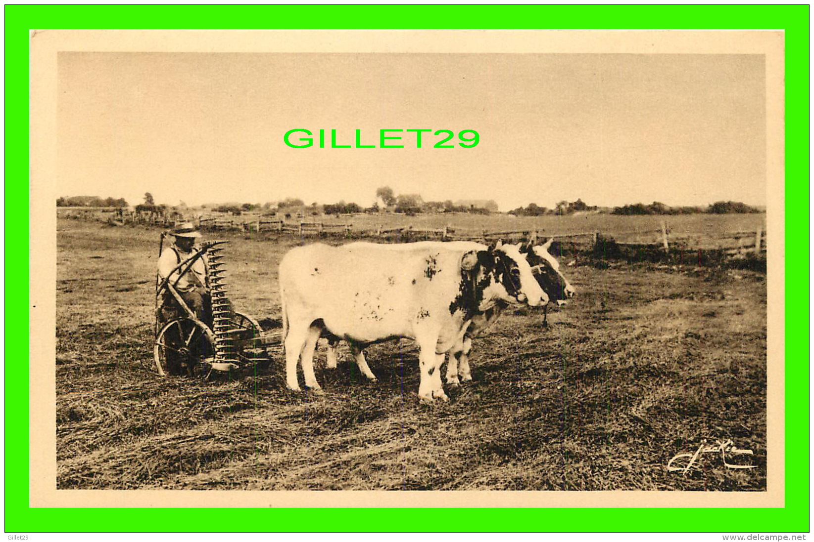 ILE D'ORLÉANS. QUÉBEC - ATTELAGES DE BOEUFS, LA TRADITION CHEZ LE PAYSAN CANADIEN FRANÇAIS - LES ÉDITIONS D'ART JACKIE - - Autres & Non Classés