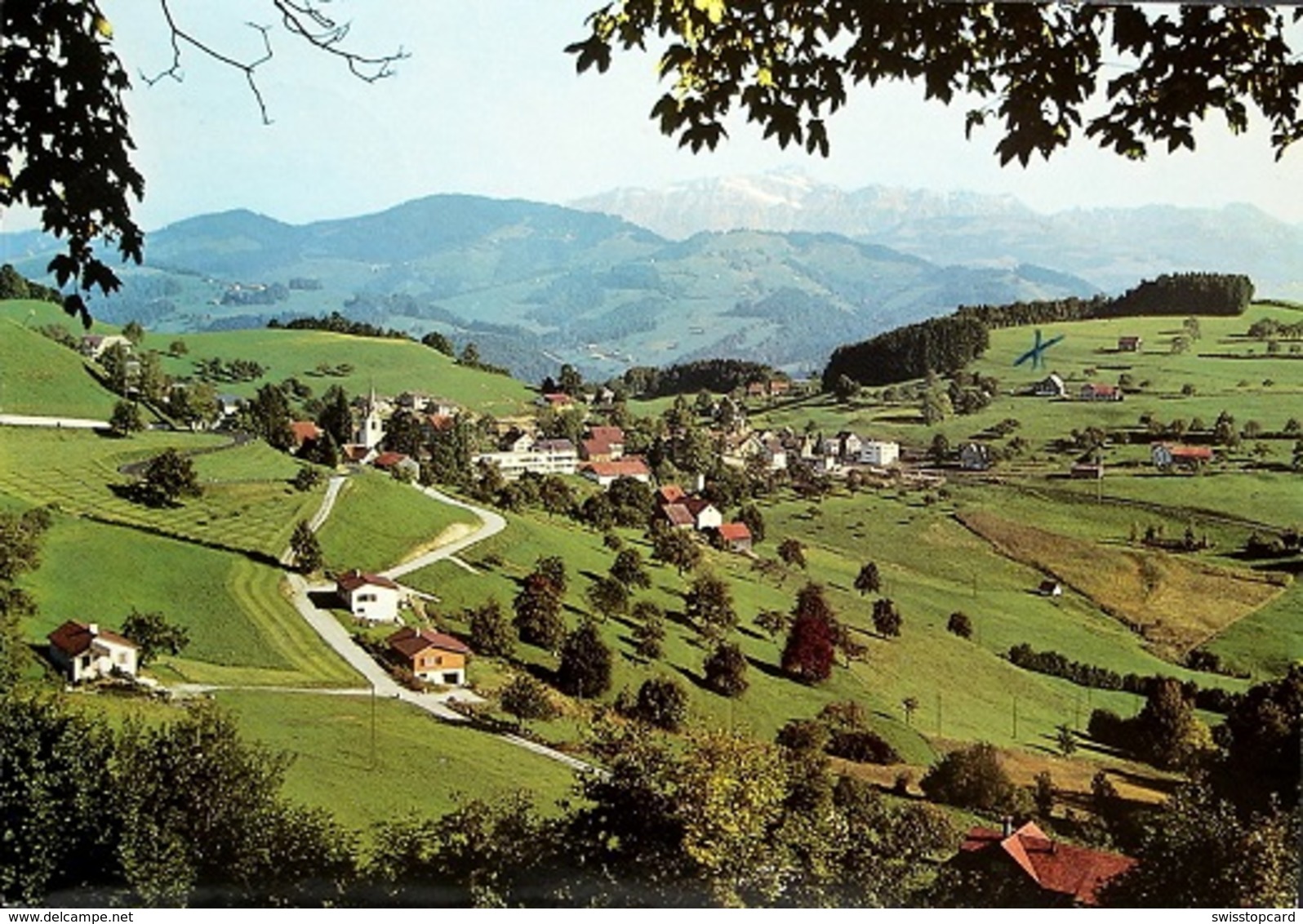 OBERHELFENSCHWIL Blick Zum Säntis - Oberhelfenschwil