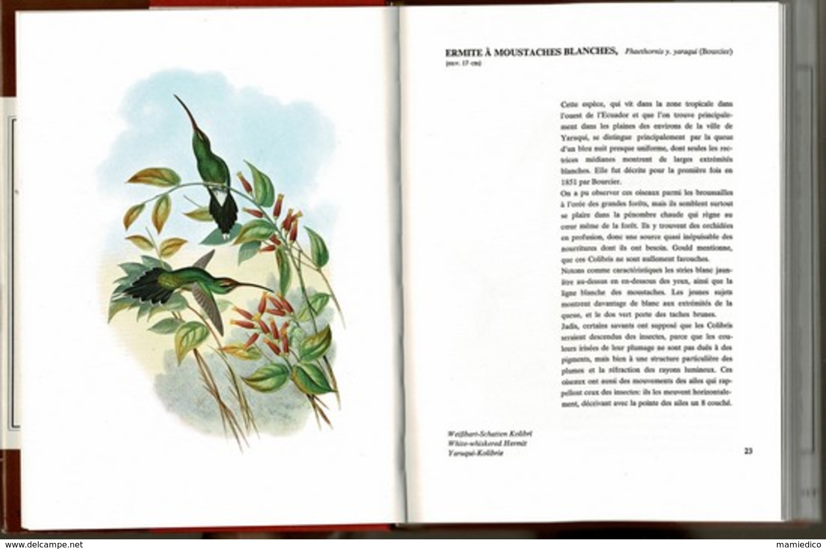 1969/70 OISEAUX De L'Amérique Du Sud, édité Au Pays-Bas. Nombreuses Et Belles Gravures D'après John GOULD Jacquette TBE - Animaux