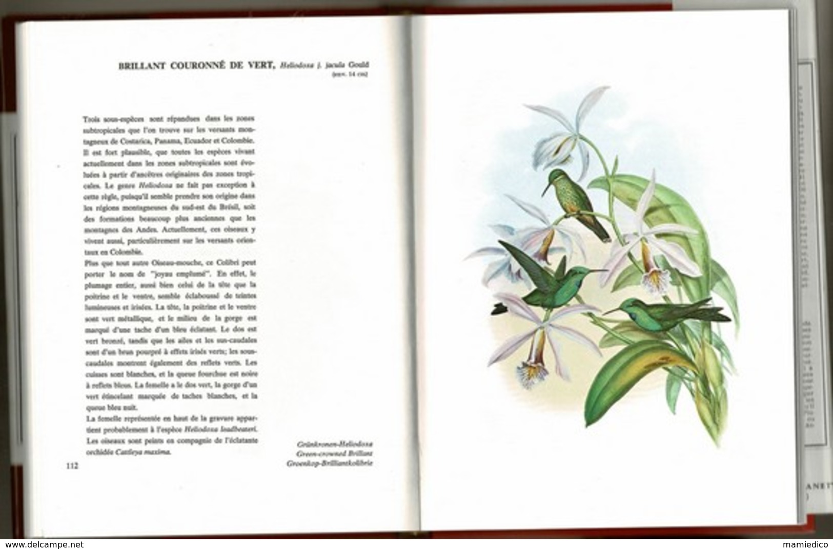 1969/70 OISEAUX de L'Amérique du Sud, édité au Pays-Bas. Nombreuses et belles gravures d'après John GOULD Jacquette TBE