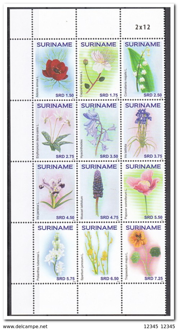 Suriname 2016, Postfris MNH, Flowers - Suriname