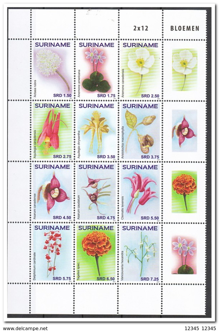 Suriname 2017, Postfris MNH, Flowers - Surinam