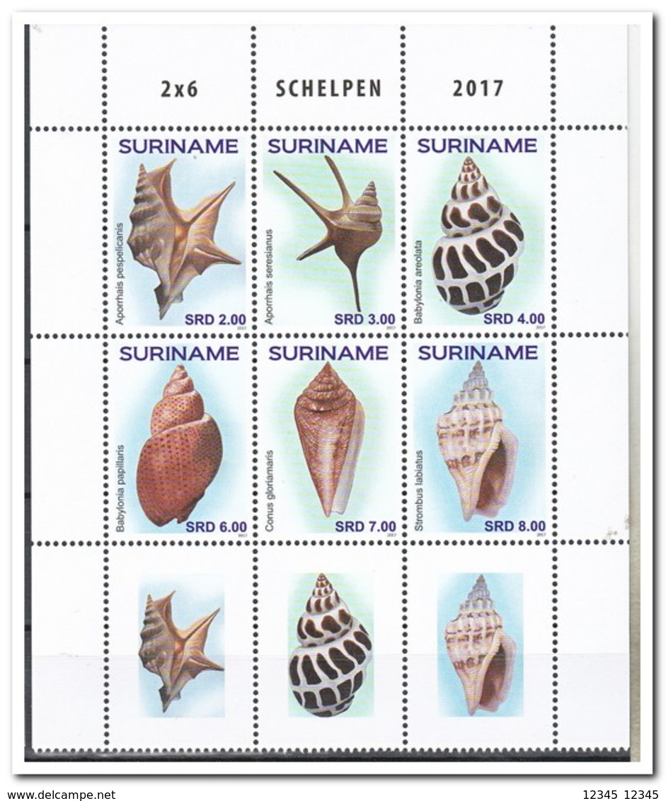 Suriname 2017, Postfris MNH, Shells - Suriname