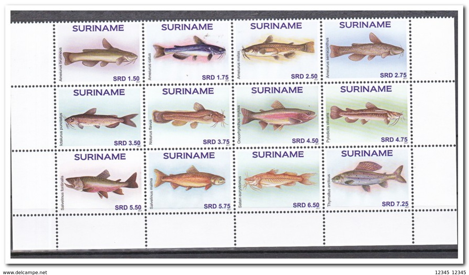 Suriname 2017, Postfris MNH, Fish - Suriname