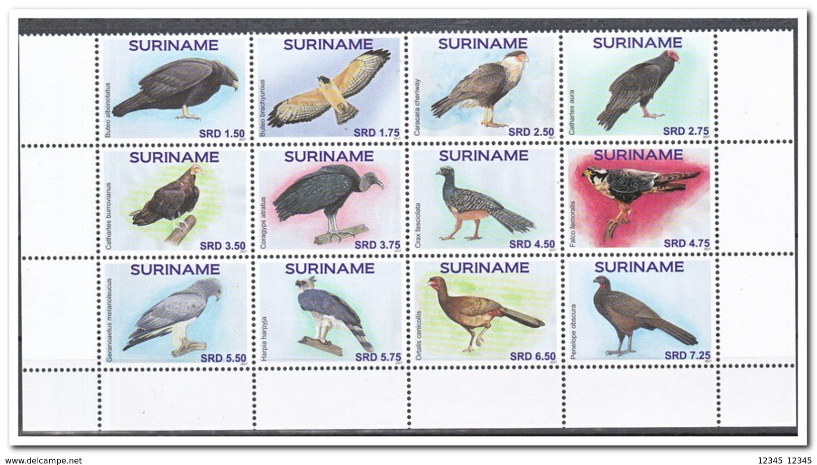 Suriname 2017, Postfris MNH, Birds - Suriname