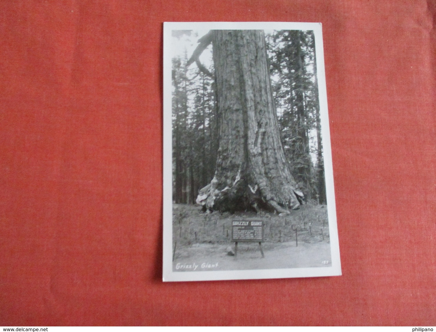 RPPC   - Grizzly Giant Tree  Ref 3050 - Trees