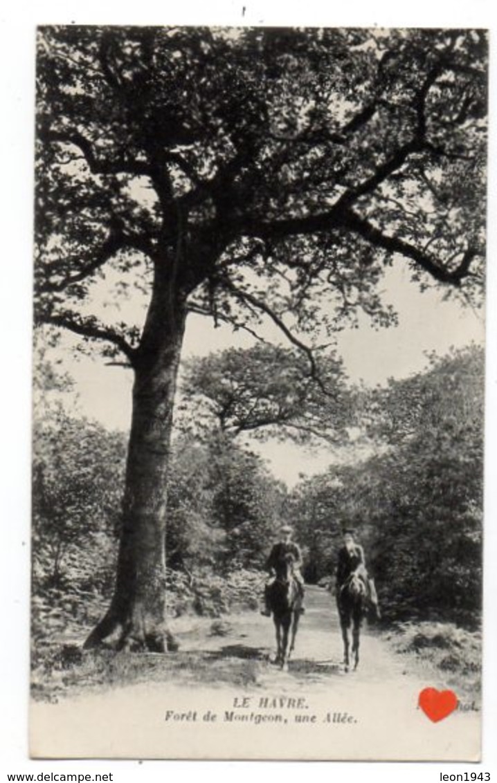 23128-LE-76-LE HAVRE-Forêt De Montgeon,une Allée-------------animée-cavaliers - Forêt De Montgeon