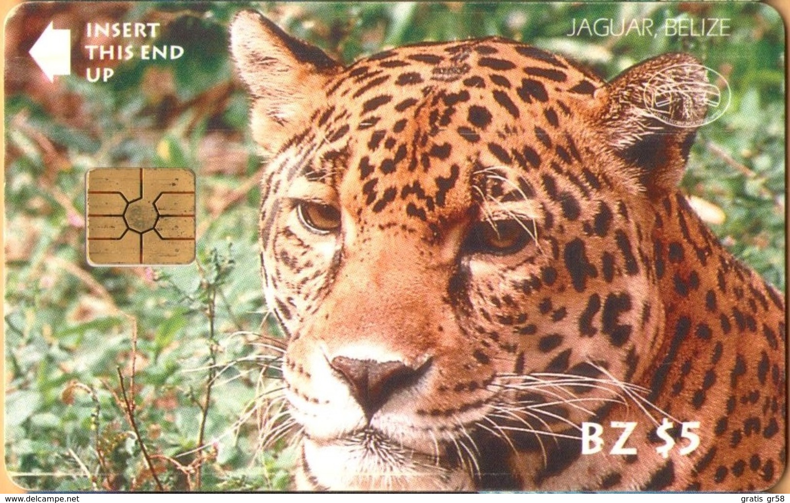 Belize - BLZ-BTL-04, Jaguar, Animals (Fauna) , Cats, 5$, Mint - Belice