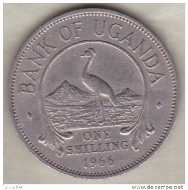 Uganda , 1 Shilling  1966 , Copper-Nickel, KM# 5 - Ouganda