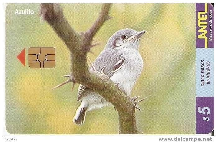 Nº 126 TARJETA DE UN PAJARO DE URUGUAY AZULITO (BIRD) - Otros & Sin Clasificación