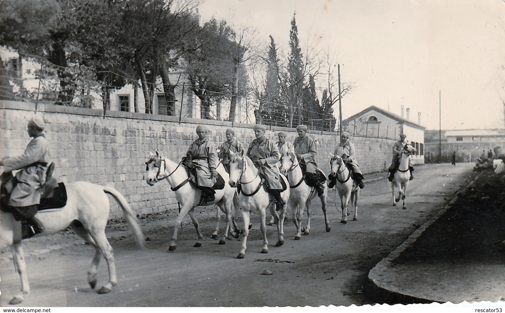 Rare Très Belle Photo D'un Groupe De Cavaliers De Spahis Marocains - 1939-45