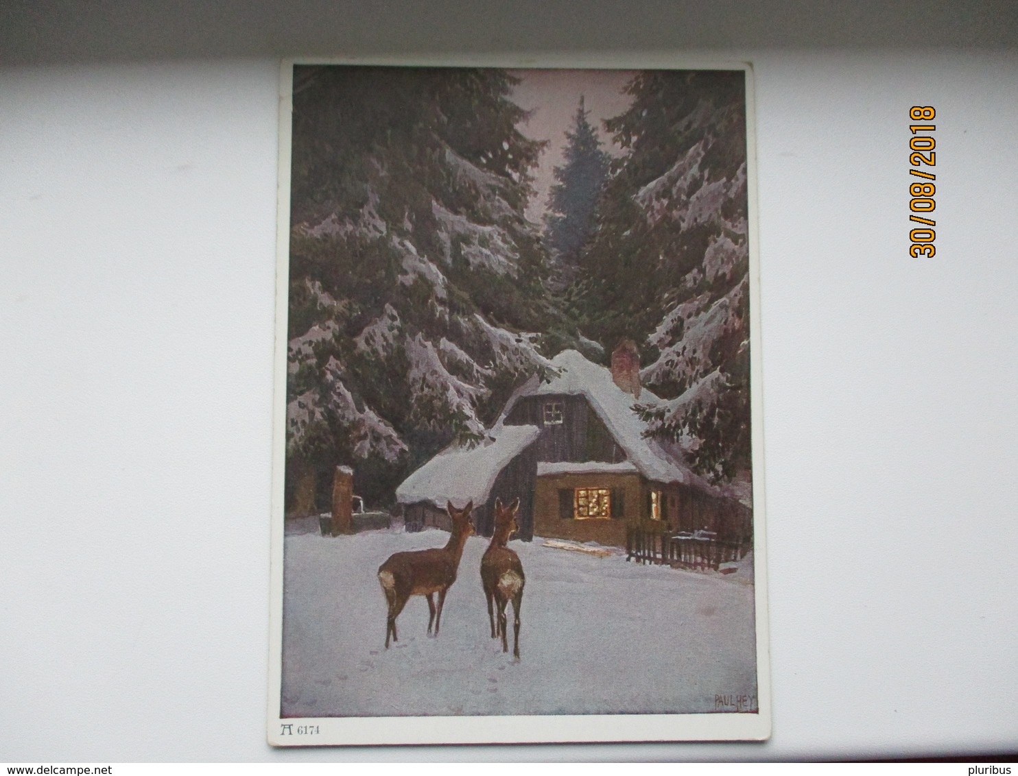 HUNTING , ROE DEER , PAUL HEY SIGNED ,  POSTCARD , 0 - Sonstige & Ohne Zuordnung