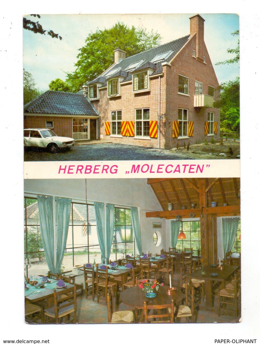 NL - GELDERLAND - HATTEM, Hotel-Cafe-Restaurant "Herberg Molecaten" - Hattem