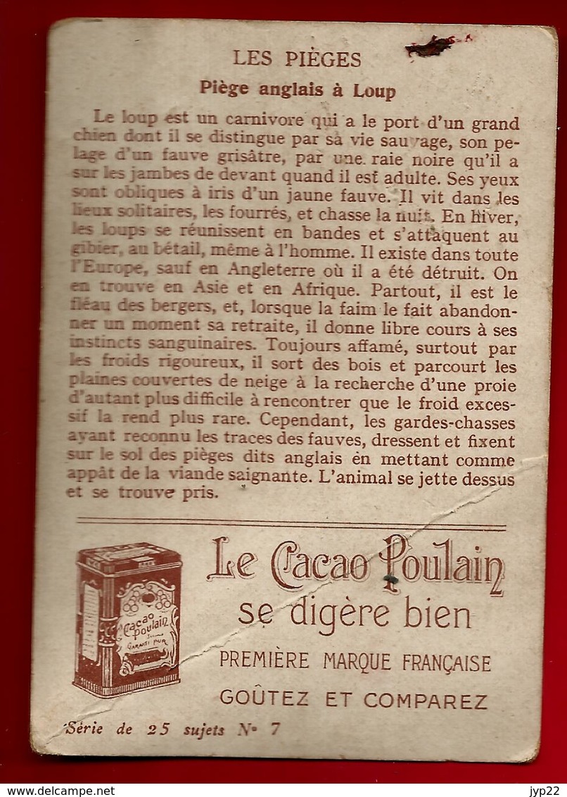 Chromo Chocolat Poulain Le Piège à Loups - Animal Loup - Poulain