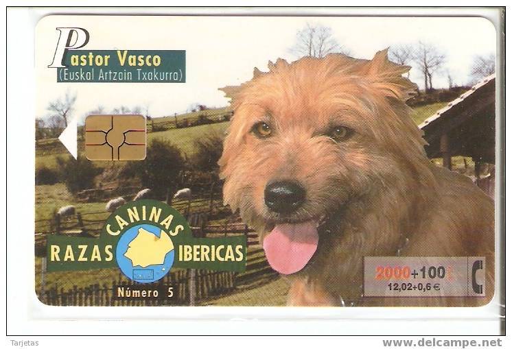 Nº5 PASTOS VASCO DE LA SERIE RAZAS CANINAS IBERICAS DE TIRADA 250000 (CAN-DOG) - Dogs