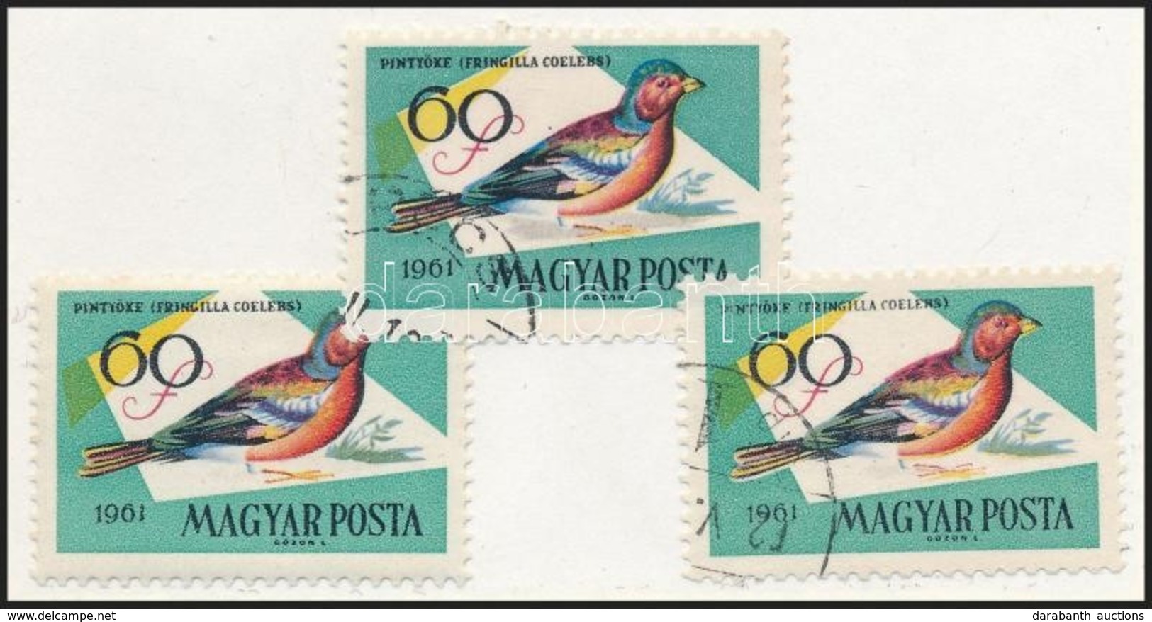 ** O 1961 Madarak 60f  Szürke Szín Hiánya Postatiszta és Pecsételt + Támpéldány (6000) - Andere & Zonder Classificatie