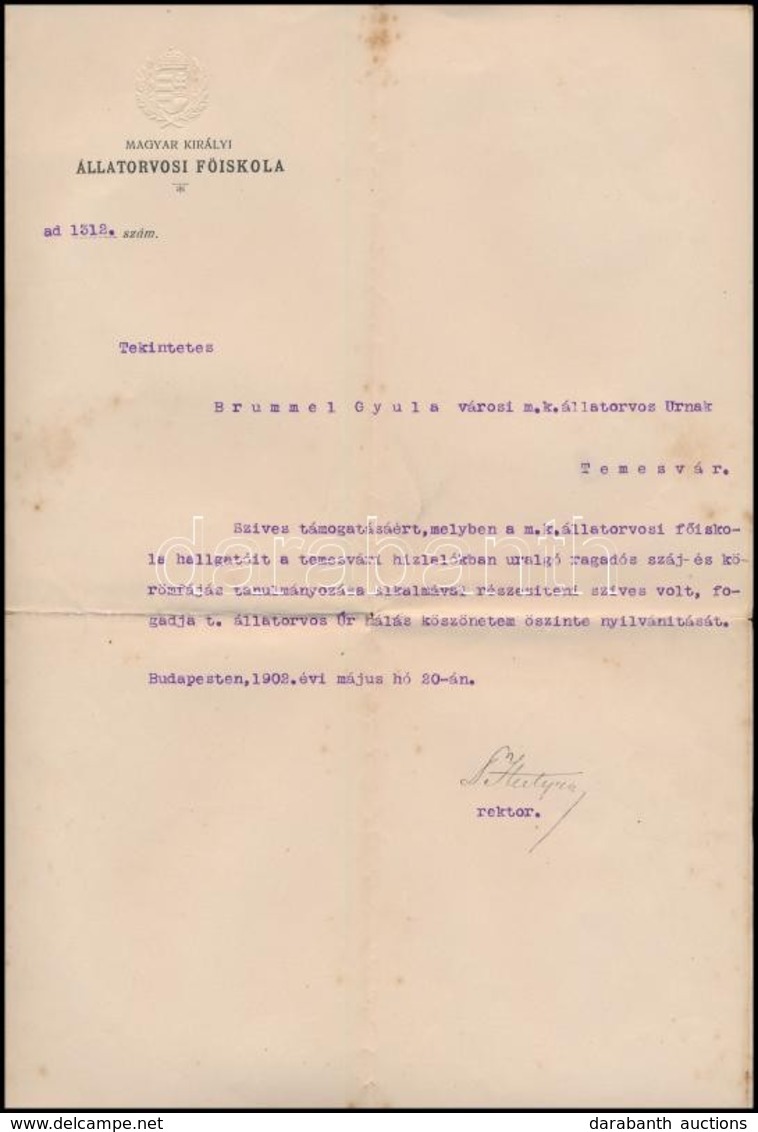 1897, 1902 Bizonyítvány állatorvosi Tiszti Vizsgáról, Illetve A Magyar Királyi Állatorvosi Főiskola Köszönőlevele, 2 Db - Zonder Classificatie