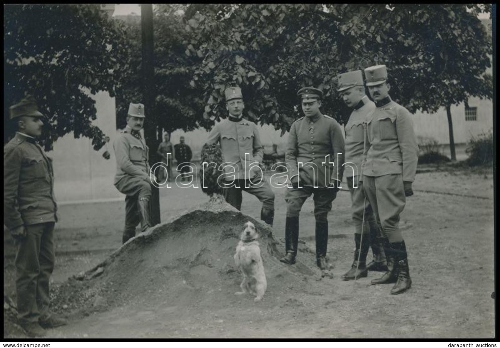 Cca 1914-1918 Osztrák-magyar és Német Tisztek Kutyával, Fotó, 11,5×17 Cm - Andere & Zonder Classificatie