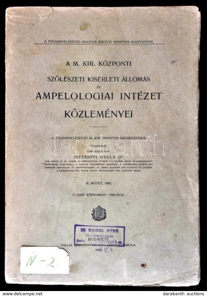 Dr. Istvánffi Gyula: Tanulmányok A Szőlő Fakórothadásáról. A M. Kir. Központi Szőlészeti Kísérleti Állomás és Ampelologi - Ohne Zuordnung