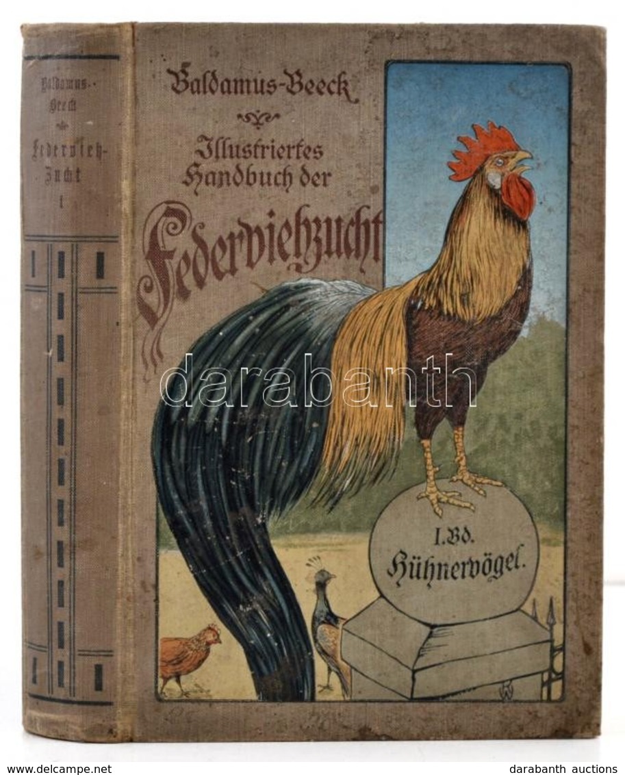 Alfred Beeck: Die Federviehzucht Als Wirtschaftszweig Und Liebhaberei. I. Band: Allgeimenes, Hühnervögel, Wirtschaftsgef - Zonder Classificatie