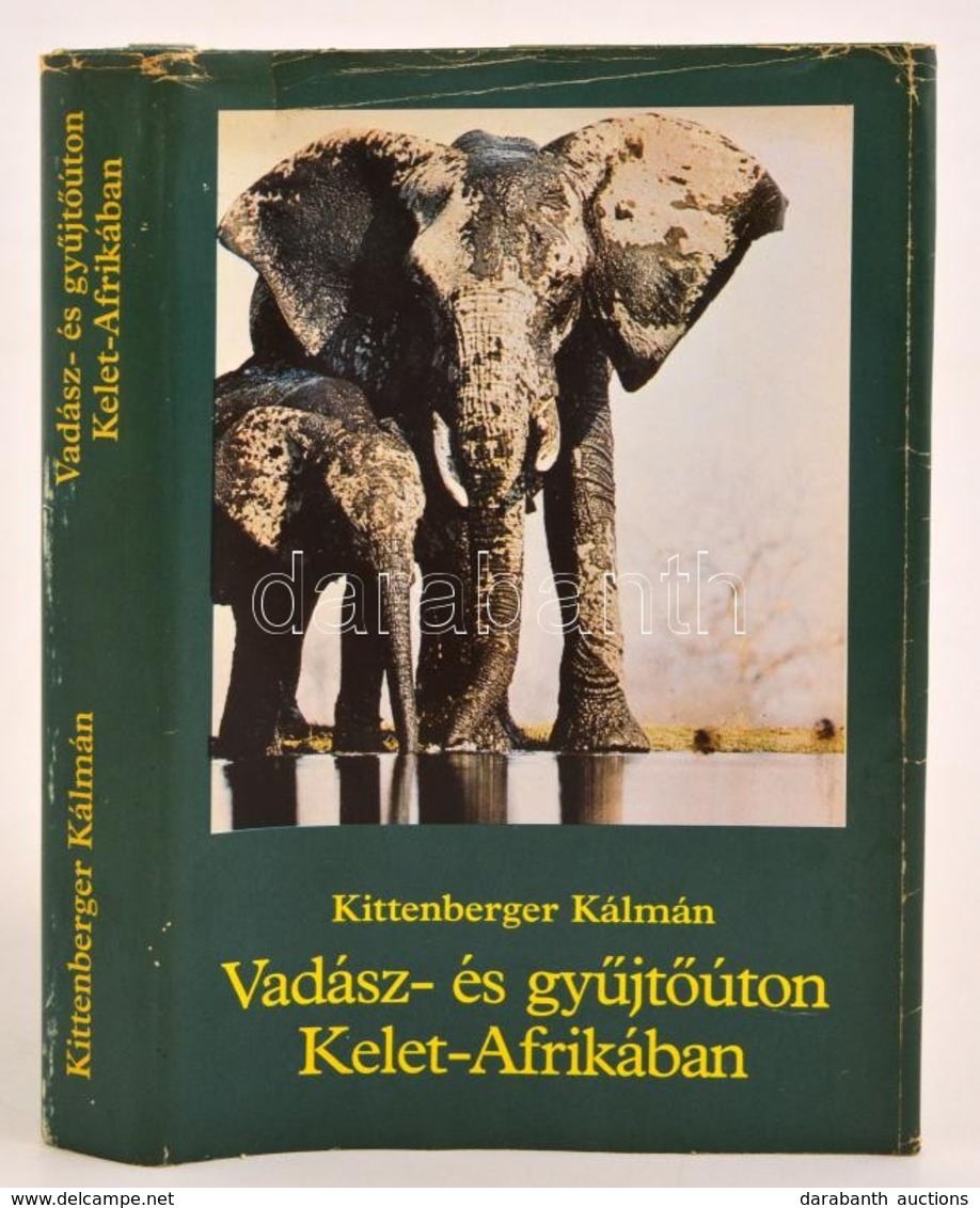 Kittenberger Kálmán: Vadász- és Gyűjtőúton Kelet-Afrikában. Bp.,1985,Kentaur. Az Első Kiadás Fényképeivel. Kiadói Karton - Non Classificati