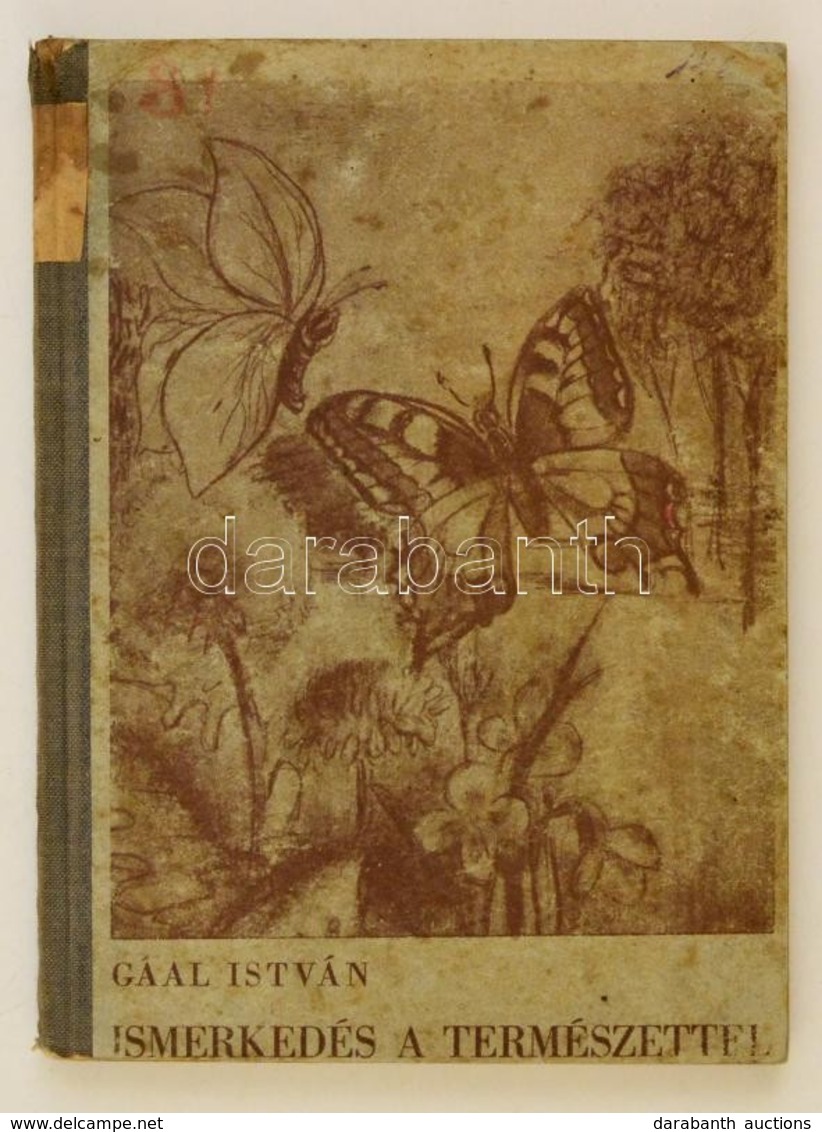 Gál István: Ismerkedés A Természettel. Maderspach Viola Rajzaival. Bp., 1941. KM.E.NY. Kiadói Félvászon Kötésben - Non Classificati