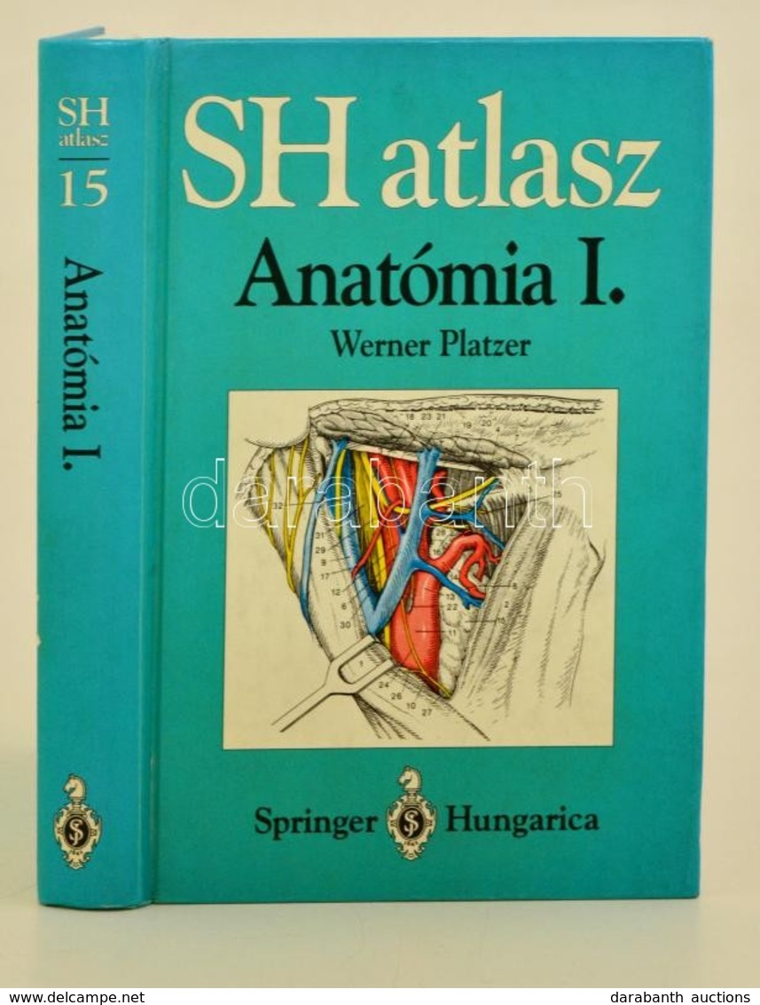 Werner Platzer: SH Atlasz. Anatómia I. Kötet. Bp.,1996, Springer. Kiadói Kartonált Papírkötés. - Non Classificati