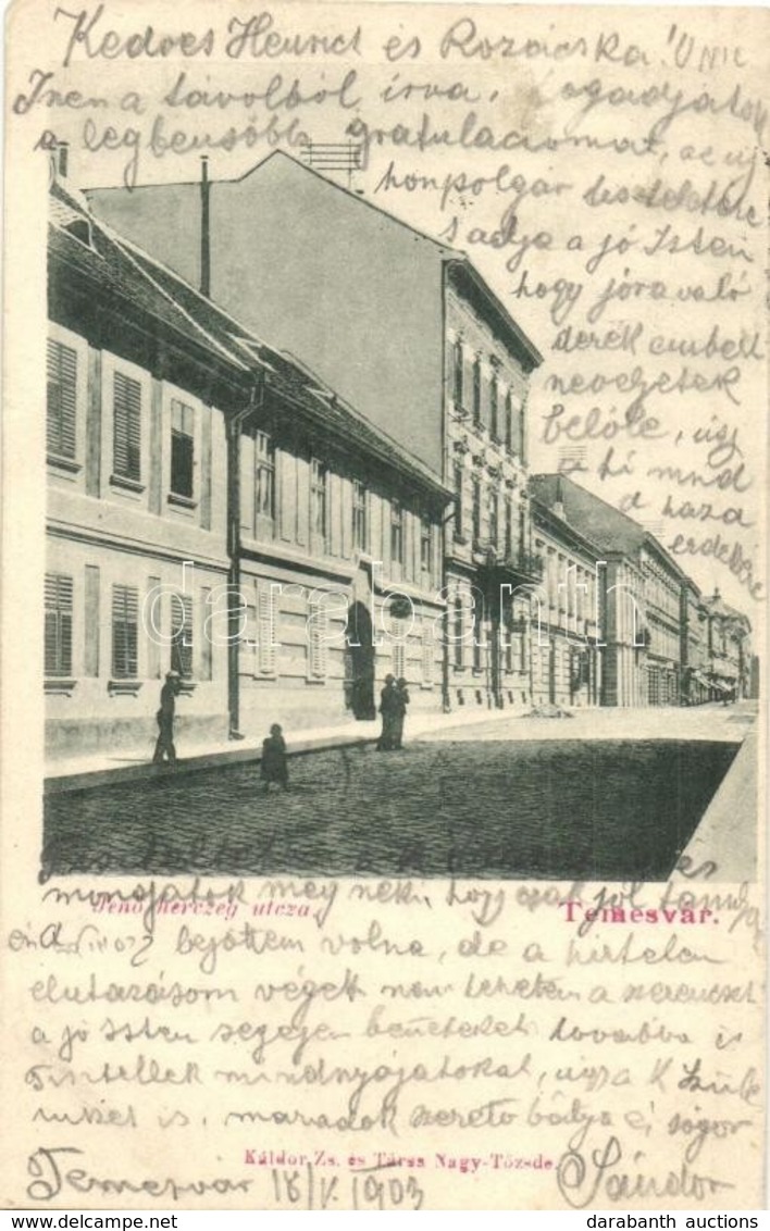 T2 1903 Temesvár, Timisoara; Jenő Herceg Utca. Kiadja Káldor Zs. és Társa / Street View - Zonder Classificatie